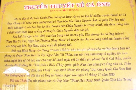  Truyền thuyết về cá Ông.