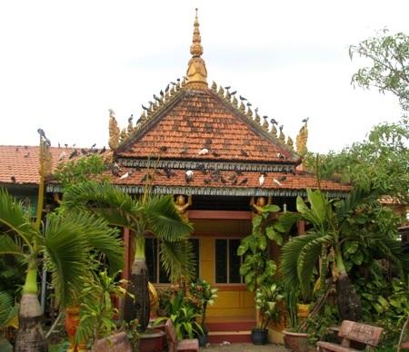 ...và những chú chim bồ câu tạo nên không gian thanh bình, gần gũi.