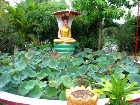 Khuôn viên chùa rộng lớn với những am thờ, vườn cây xanh tươi...