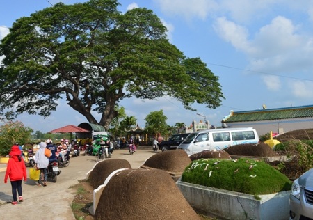 Đông đảo người dân đổ về các khu nghĩa địa cúng Tết Thanh minh