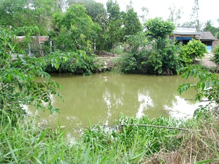 Dự kiến cầu Dân trí sẽ bắc qua khu vực này.