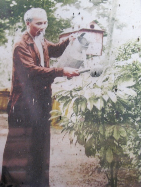 Bức ảnh Bác Hồ đang tưới cây vú sữa của đồng bào miền Nam gửi tặng Bác.