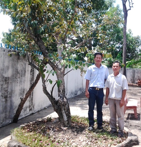 Phượng vĩ tháng 5 rực rỡ bên Phủ thờ Bác Hồ - 9 Hình ảnh, tư liệu về Bác được trưng bày trong Phủ thờ.