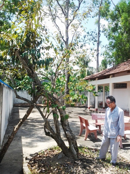 Thăm Phủ thờ Bác nơi đất mũi Cà Mau - 1 Thăm Phủ thờ Bác nơi đất mũi Cà Mau