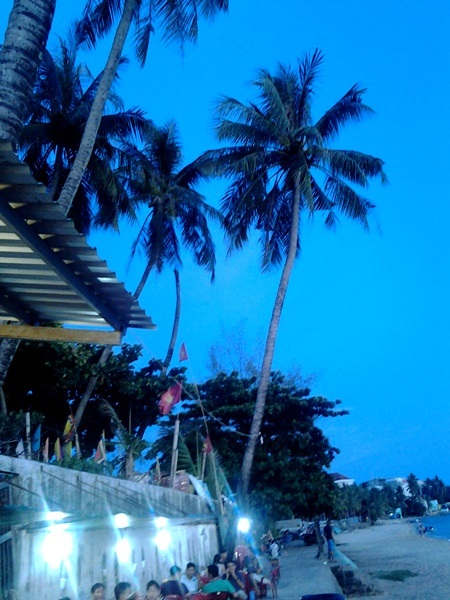 Mát mắt những hàng dừa xanh trên “đảo ngọc” Phú Quốc - 11 Hoàng hôn buông xuống bãi biển với những cây dừa tạo nên một phong cảnh rất thơ mộng.