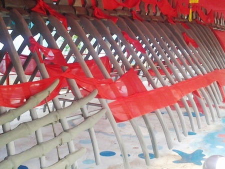 Một số bộ phận của bộ xương cá voi được phục dựng lại.