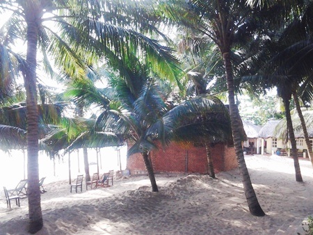 Mát mắt những hàng dừa xanh trên “đảo ngọc” Phú Quốc - 7 Hàng dừa sát bãi biển che nắng làm mát lòng du khách