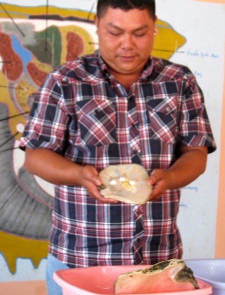 ...cũng được xẻ lấy ngọc để du khách chiêm ngưỡng.