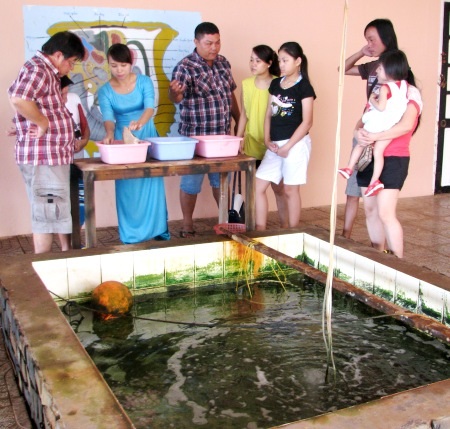 Các điểm nuôi ngọc trai luôn thu hút du khách khi đến Phú Quốc.