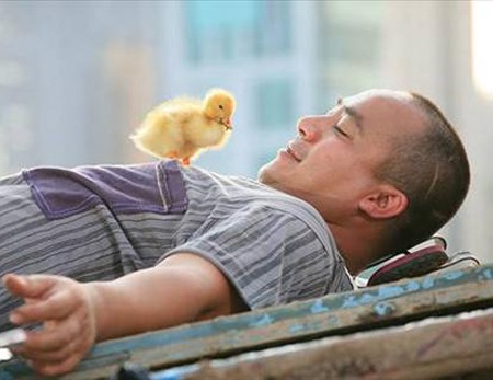 “Liên hoan phim 17 sẽ lấy lại niềm tin cho người làm điện ảnh” - 2 “Liên hoan phim 17 sẽ lấy lại niềm tin cho người làm điện ảnh” - 2