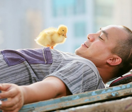 “Hotboy nổi loạn…” và câu chuyện buồn về sự đơn độc - 3 “Hotboy nổi loạn…” và câu chuyện buồn về sự đơn độc - 3