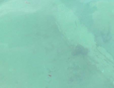 Cục di sản văn hóa phê duyệt phương án khai quật cổ vật - 1 Hình ảnh con tàu đắm