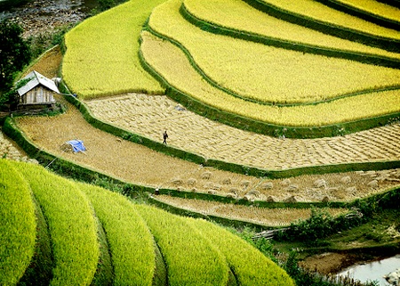 Tổng hợp các địa điểm du lịch ở Hà Giang Tổng hợp các địa điểm du lịch ở Hà Giang