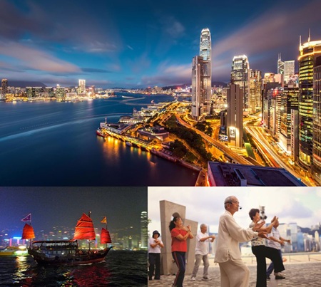 7/ Đại dương muôn màu tại công viên Hải Dương (Ocean Park)