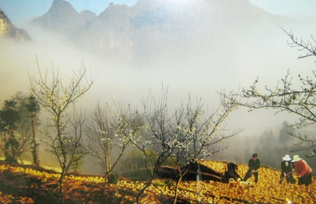 Những tác phẩm được khách tham quan chú ý nhất phải kể đến phải đến