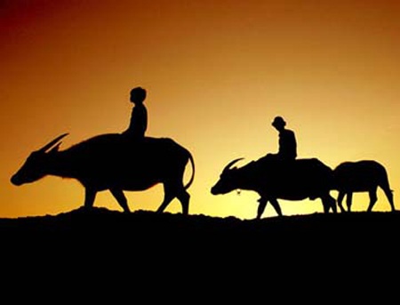 Cùng chúng tôi tham gia “Việt Nam thân thương” - 1 Cùng chúng tôi tham gia “Việt Nam thân thương”