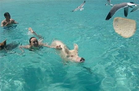 Du lịch độc đáo nhất nhì hành tinh