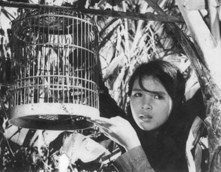 Những gia đình nghệ sỹ “quyền lực” của điện ảnh Việt