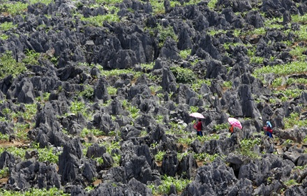 Cao nguyên đá Đồng Văn – một địa chỉ cho những ai mê “dịch chuyển” trong dịp đầu năm mới.
