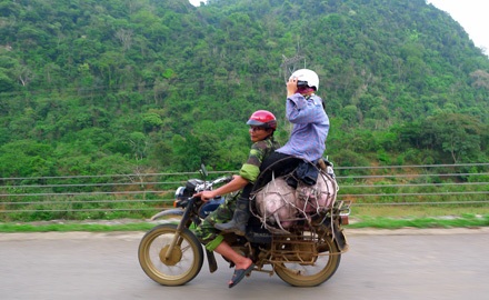 Hai vợ chồng buôn lợn người Thái trên đường Hồ Chí Minh, đoạn qua rừng Cúc Phương (Ninh Bình).