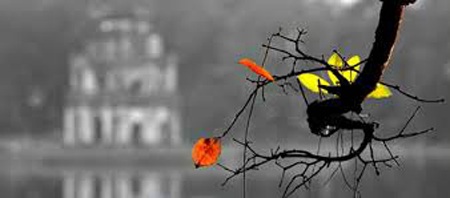 Thu Hà Nội- tác giả Nguyễn Hồng Vĩnh