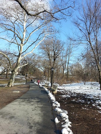 Phim Việt “vươn mình” thực hiện cảnh quay tại New York - 7 Một cảnh quay New York trong phim