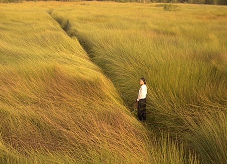 Cảnh trong phim Ký ức Điện Biên