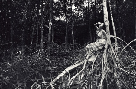 Sức quyến rũ của những thiết kế lấy cảm hứng từ hoa mẫu đơn - 1 Hào Hoa