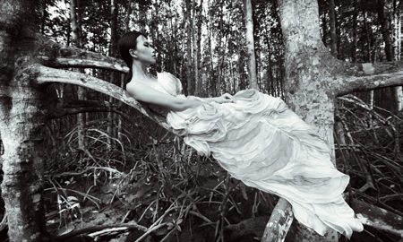 Sức quyến rũ của những thiết kế lấy cảm hứng từ hoa mẫu đơn - 4 Hào Hoa