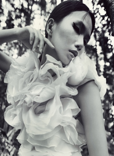 Sức quyến rũ của những thiết kế lấy cảm hứng từ hoa mẫu đơn - 7 Hào Hoa