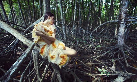 Sức quyến rũ của những thiết kế lấy cảm hứng từ hoa mẫu đơn - 8 Hào Hoa