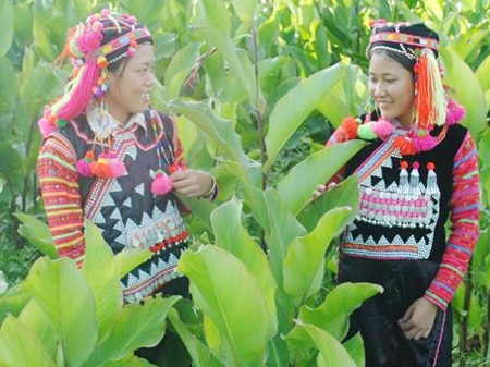 Hình ảnh những “người đàn bà” 15 tuổi ở Điện Biên - 7 Pờ Mìn Xá (bìa phải) đang kể cho bạn nghe chuyện con cái giữa buổi làm
