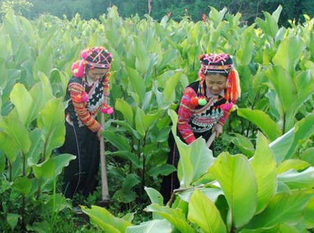 Hình ảnh những “người đàn bà” 15 tuổi ở Điện Biên - 6 Hình ảnh những “người đàn bà” 15 tuổi ở Điện Biên