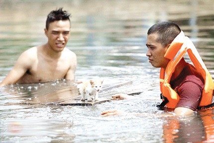 Hình ảnh chú mèo con bị đồn đã chết trong phim “Vừa đi vừa khóc”. Ảnh: TL