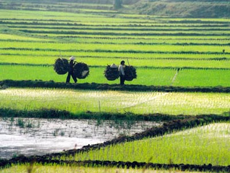 Nhật làm phim để bày tỏ tình yêu với Việt Nam - 1 Nhật làm phim để bày tỏ tình yêu với Việt Nam