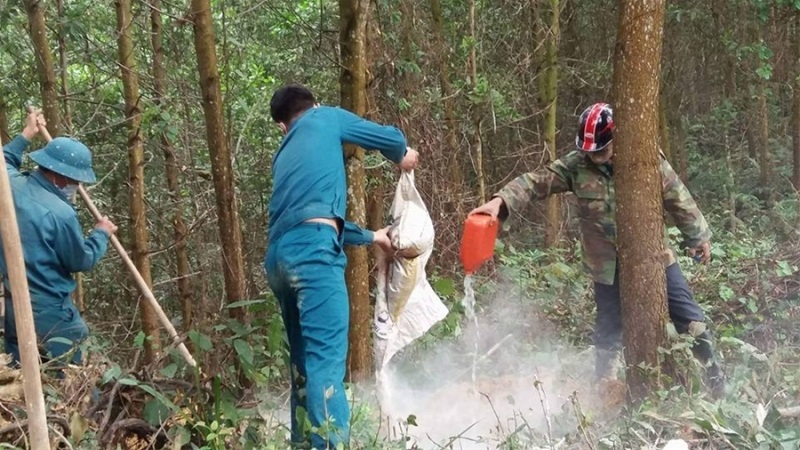 Hiện tại 8 con bò đã được tiêu hủy