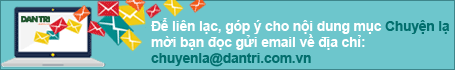Cá heo trả lại chủ nhân chiếc điện thoại bị đánh rơi xuống biển - 2 Cá heo trả lại chủ nhân chiếc điện thoại bị đánh rơi xuống biển - 2