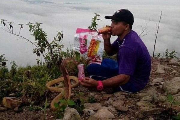 Chàng trai cưới rắn hổ mang vì tin rằng đó là... bạn gái đầu thai - 2 Chàng trai cưới rắn hổ mang vì tin rằng đó là... bạn gái đầu thai - 2