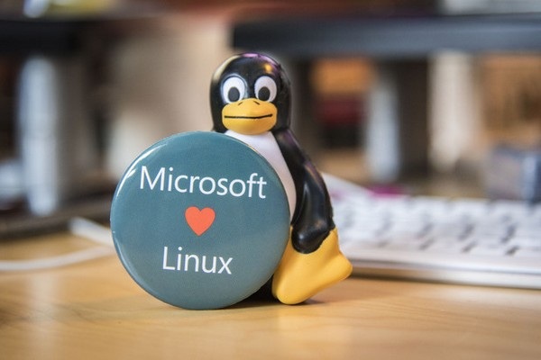 Microsoft bất ngờ thay đổi chính sách từ đối đầu sang ủng hộ Linux - 1 Microsoft bất ngờ thay đổi chính sách đối địch chuyển sang ủng hộ Linux
