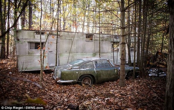 
Chiếc xe là biểu tượng một thời của Aston Martin gỉ sét nằm giữa đám lá cây.
