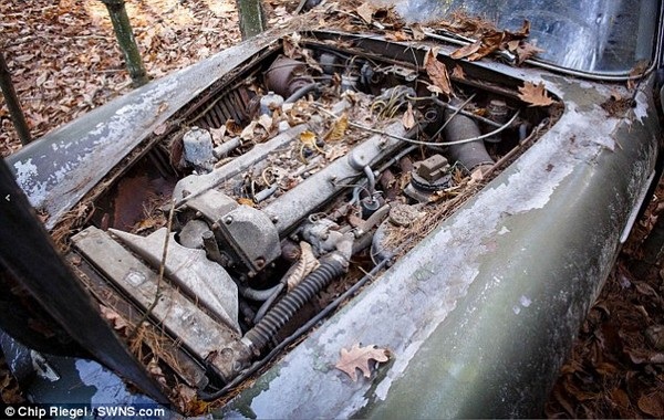 Định giá hơn 500.000 USD cho một chiếc Aston Martin DB4 gỉ sét - 5