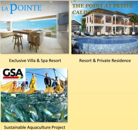 Nhập quốc tịch Mỹ, Grenada theo diện đầu tư - 4 Nhập quốc tịch Mỹ, Grenada theo diện đầu tư - 4