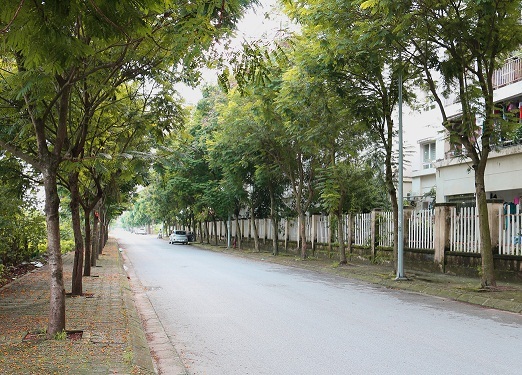 “Thu quyến rũ” tại Valencia Garden - 1 Con đường trước mặt dự án Valencia Garden