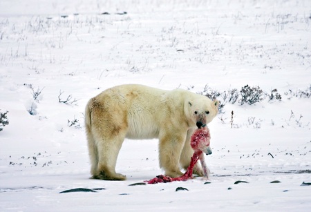 15 hình ảnh gây sốc do biến đổi khí hậu khiến thế giới lo ngại