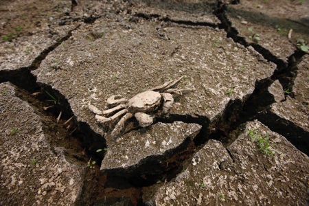 15 hình ảnh gây sốc do biến đổi khí hậu khiến thế giới lo ngại