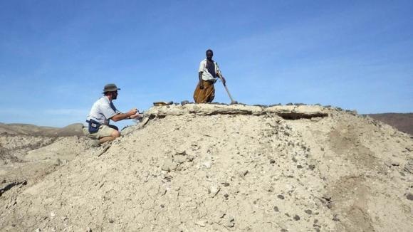 Các nhà khoa học đang nghiên cứu hoá thạch tại nơi phát hiện ra mẫu xương hàm 2,8 triệu năm