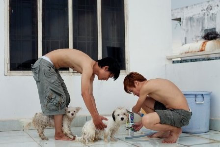 Maika đã ghi lại những khoảnh khắc đời thường của cặp đôi đồng tính 