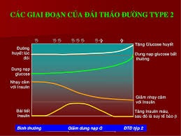 "Kiềng 3 chân" chữa lành đái tháo đường từ giai đoạn sớm - 2 "Kiềng 3 chân" chữa lành đái tháo đường từ giai đoạn sớm - 2