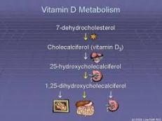Những bệnh lý liên quan với vitamin D - 2 Vitamin D (hình 3); (hình 4)