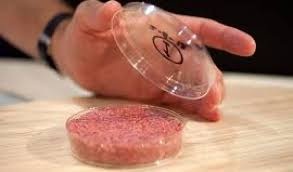 Thịt “nuôi cấy”: Chay hay mặn? - 1 Thịt “nuôi cấy”: Chay hay mặn? - 1